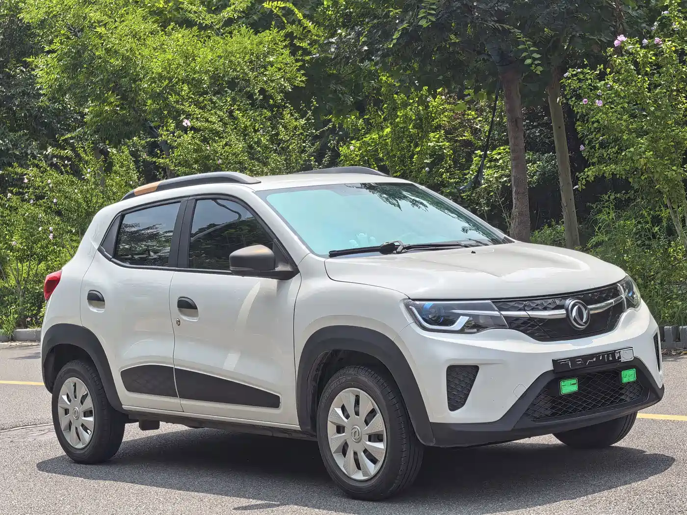 Dongfeng Yipai Dongfeng Nano EX1 2021 2022 PRO Joy Star Edition