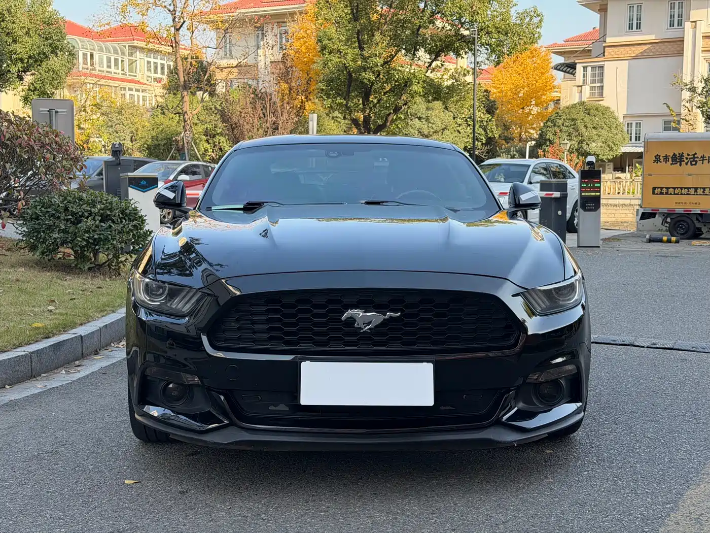 Ford Mustang 2017 2.3T Performance Edition фото 2