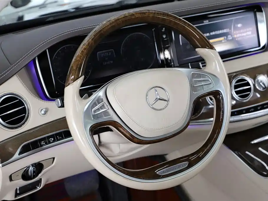 Mercedes-Benz S-Class 2014 S 500 L 4MATIC фото 13