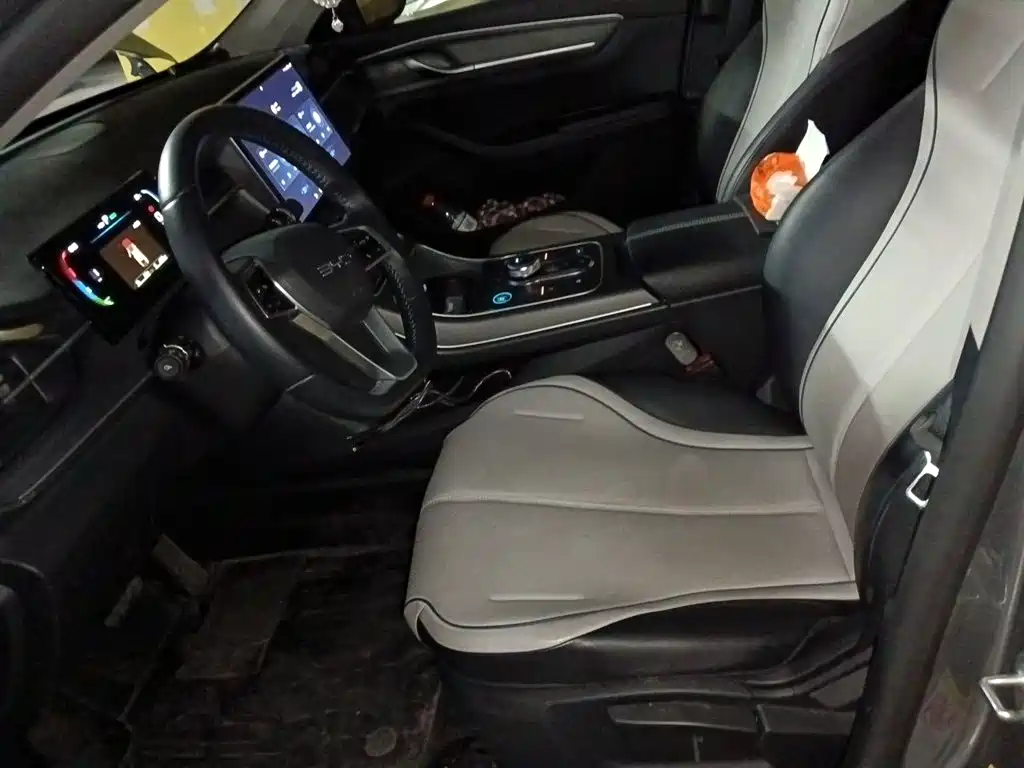 BYD Destroyer 05 2024 2023 Champion Edition DM-i 55KM Luxury