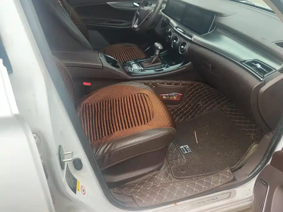 Leopaard Mattu 2020 2018 1.6T GDI DCT Luxury