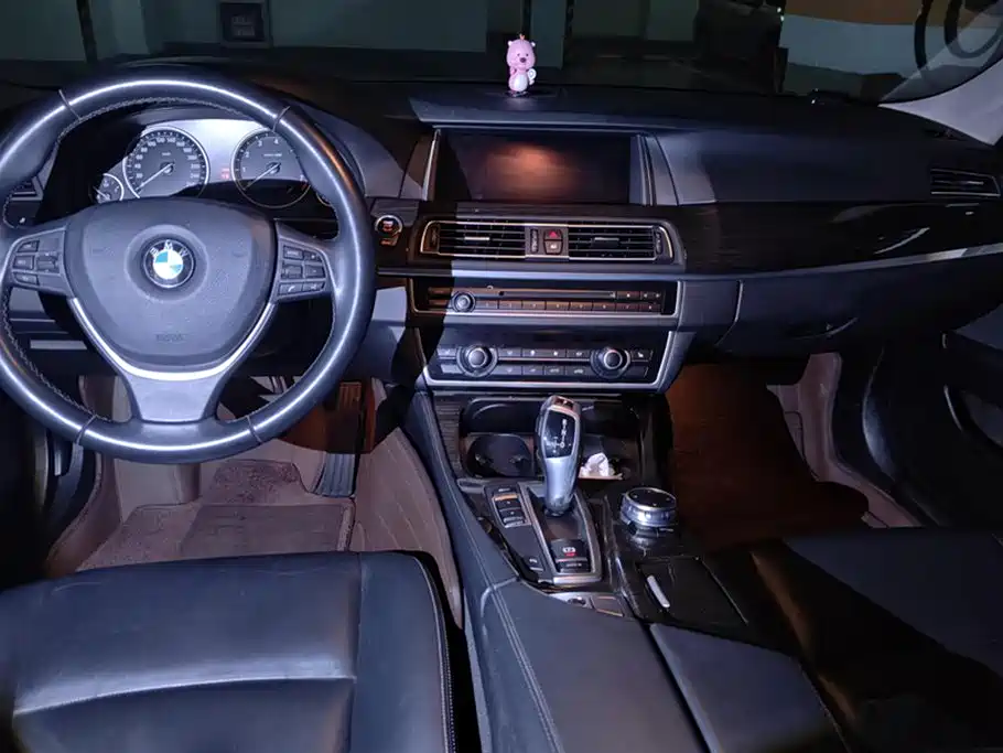 BMW 5 Series 2014 525Li Luxury Design Package фото 12