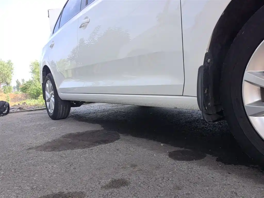 Škoda Rapid 2020 1.5L Manual Standard фото 21