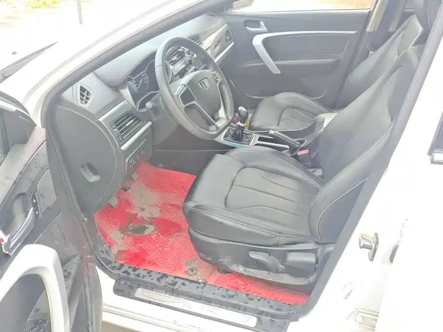 Photo 9 - Geely Emgrand