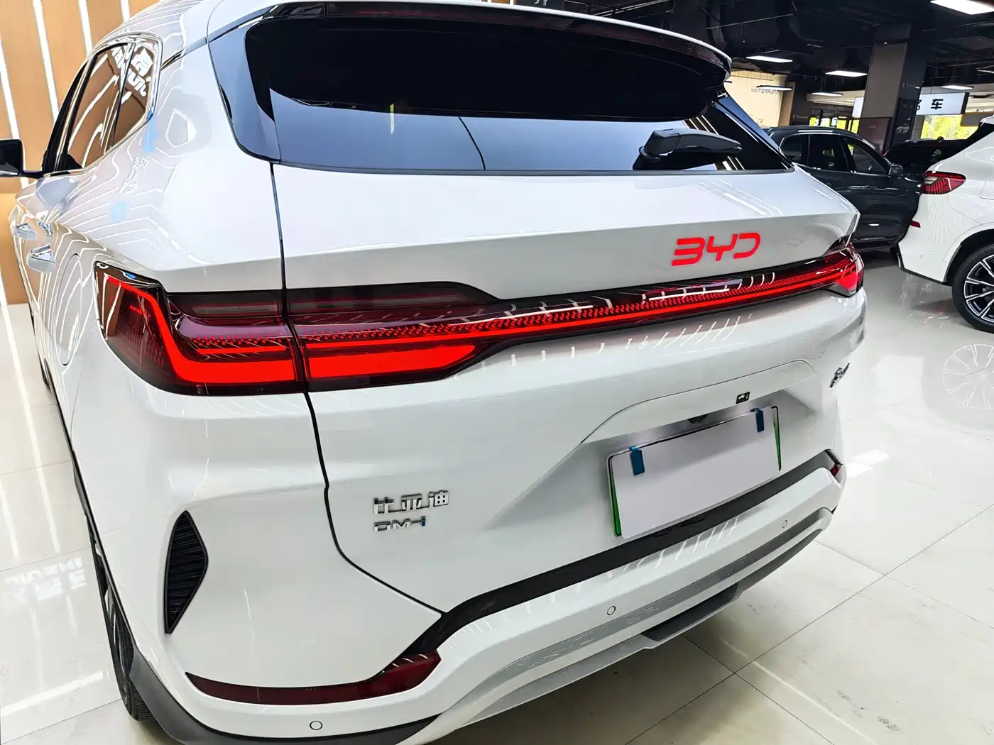 BYD SONGJIANG NEW ENERGY