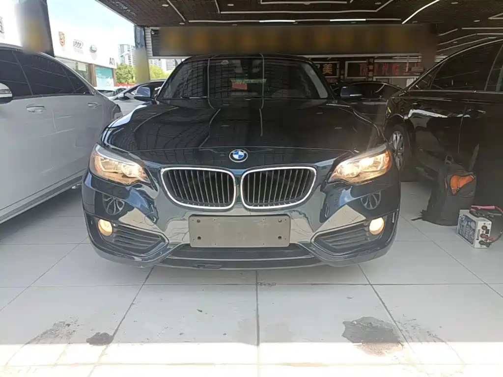 BMW 2 Series (Import) 2016 2015 218i