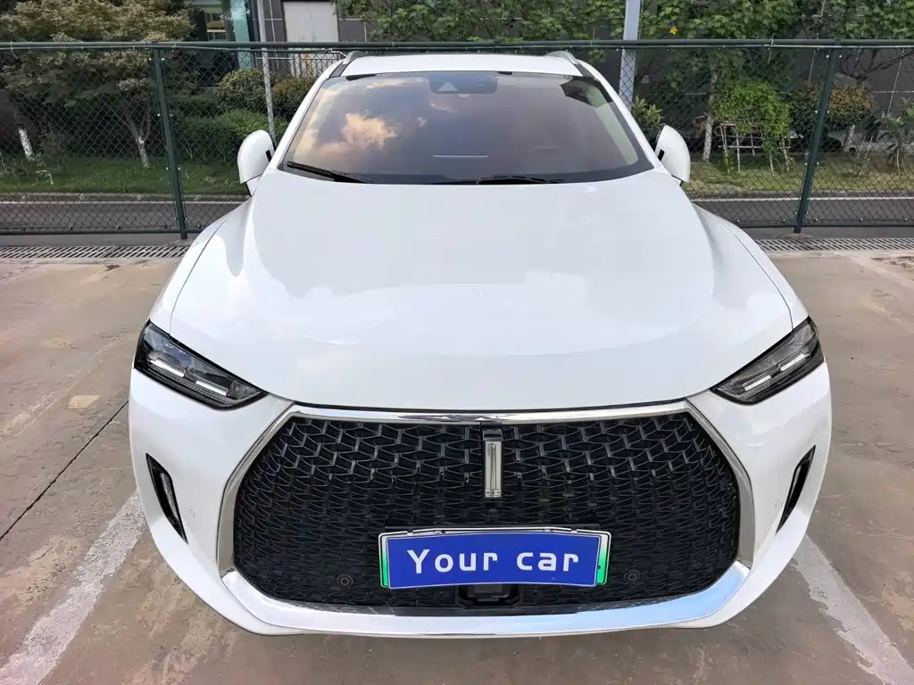 2018 WEY P8