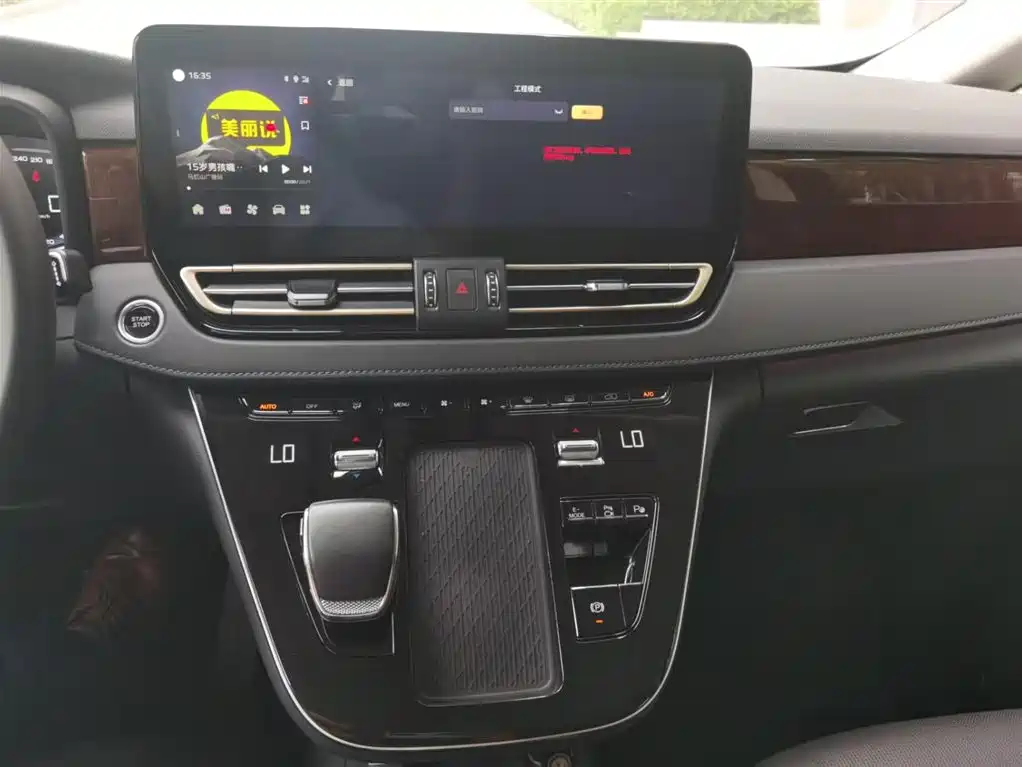 Hongqi HQ9 PHEV 2024 Model 2.0T AWD Luxury Edition фото 12