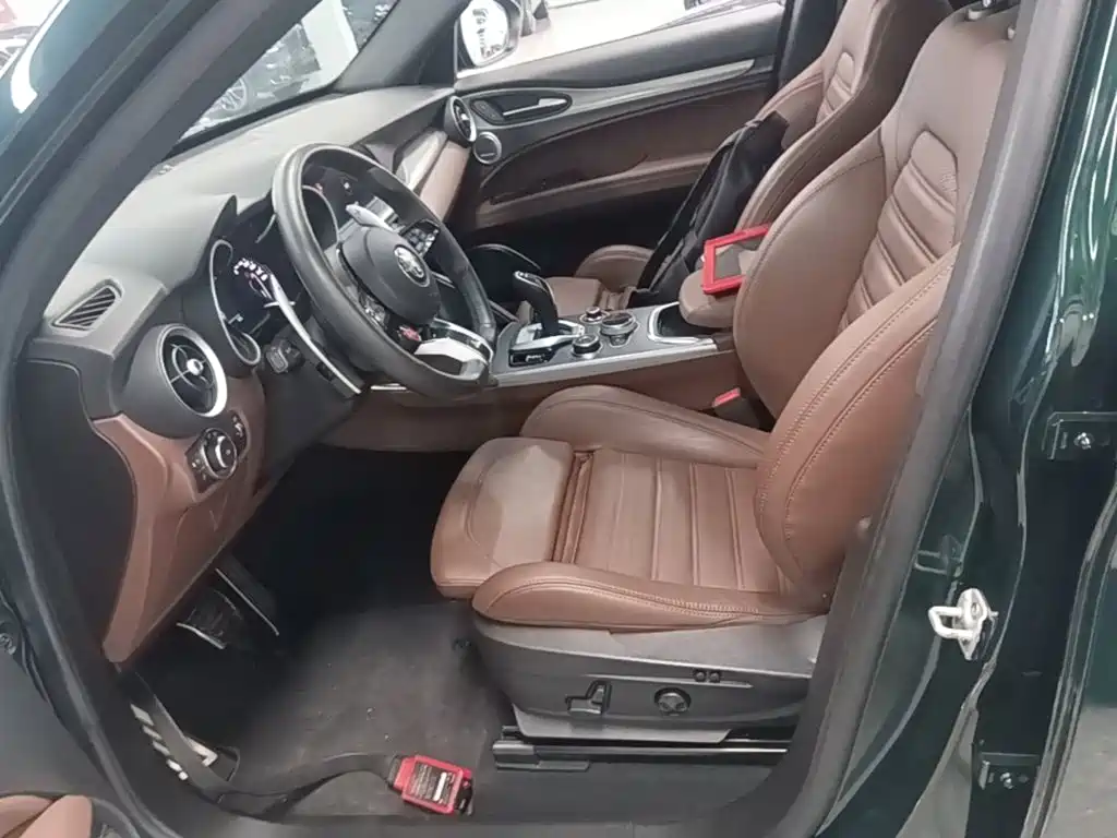 Alfa Romeo Stelvio 2021 2020 2.0T 280HP Luxury Edition