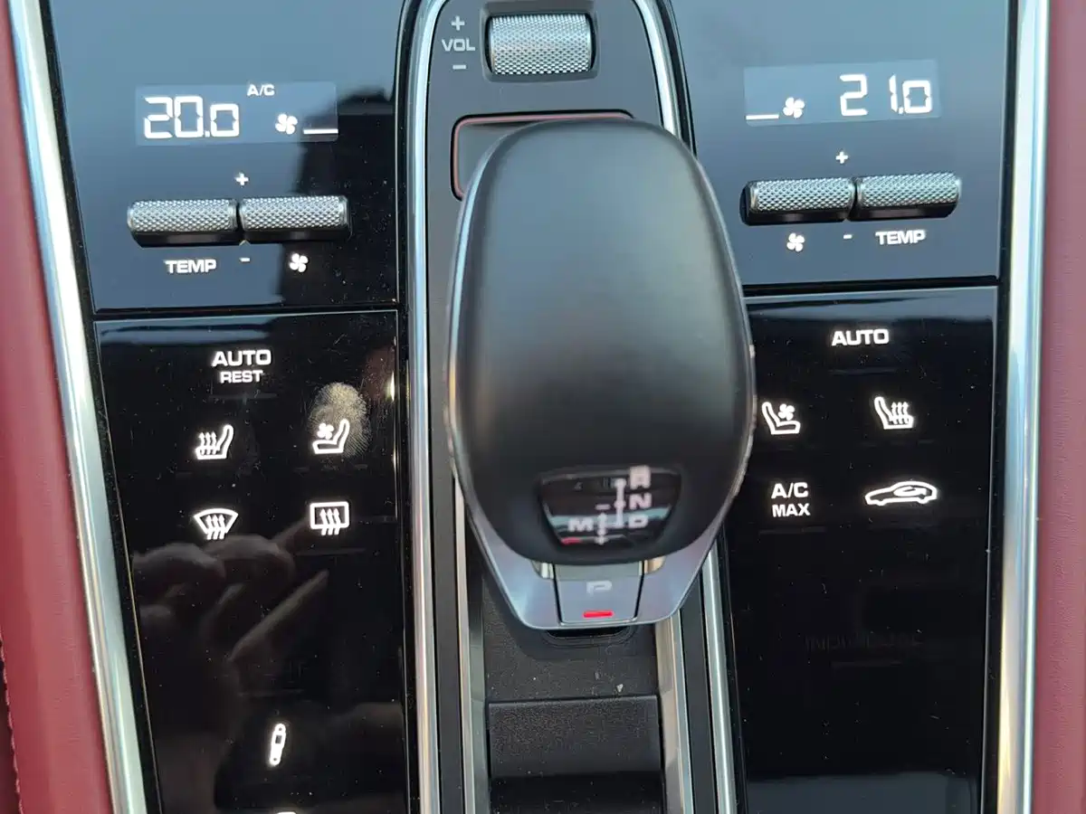 Porsche Panamera 2023 Panamera 2.9T Platinum Edition фото 11