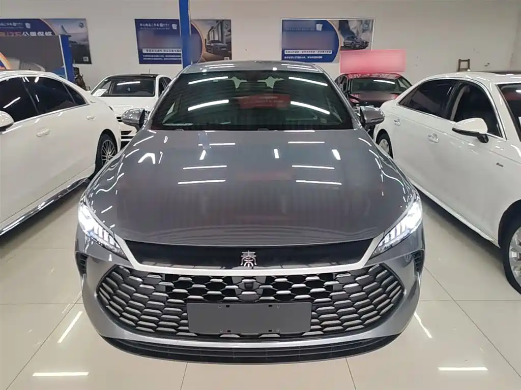 BYD Qin PLUS 2025 DM-i Smart Drive 55KM Leader фото 3