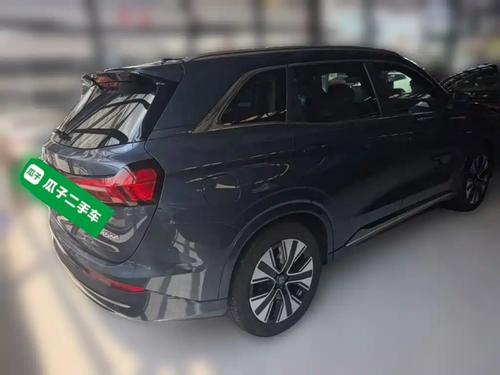 Landian E5 PLUS 2025 2025 165km Long Range 7-seater