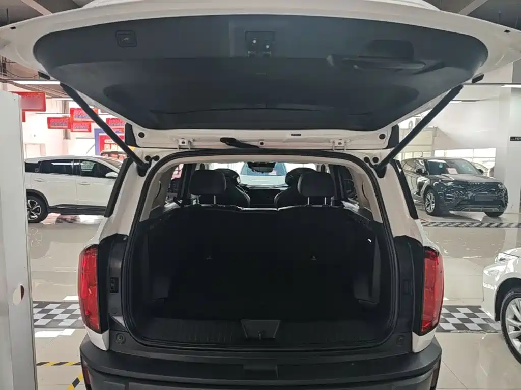 Haval Cool Dog 2023 2022 1.5T DCT 2WD Trend Edition