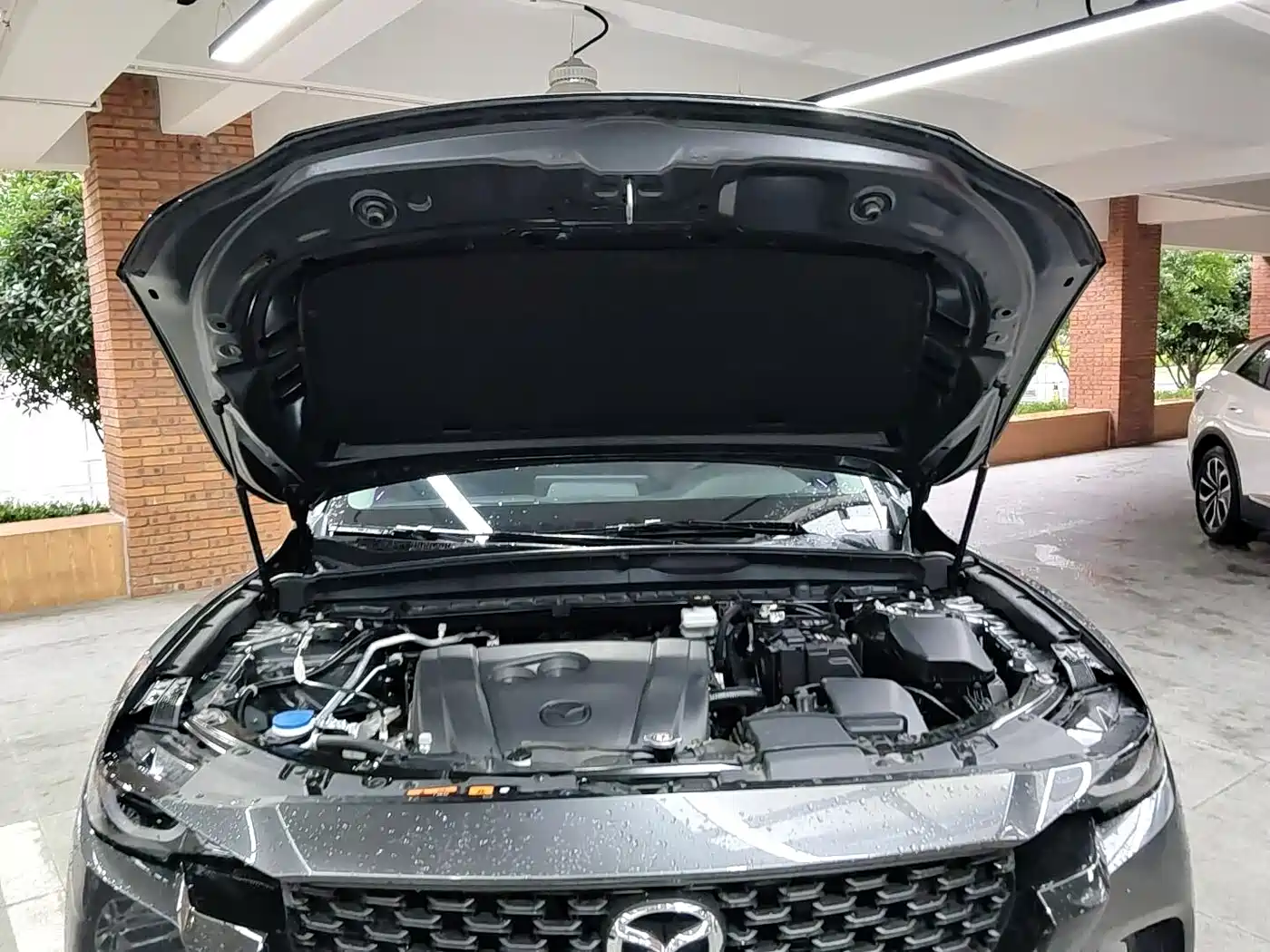 Mazda CX-50 2024 2023 2.0L Safety Edition