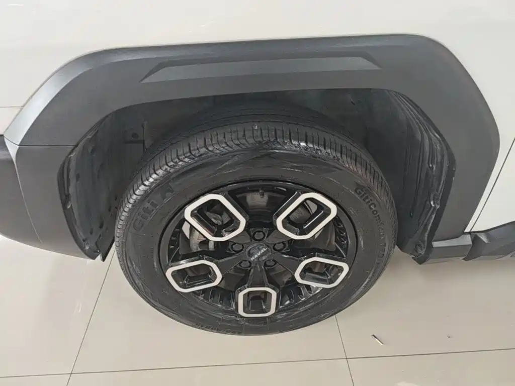Haval Cool Dog 2023 2022 1.5T DCT 2WD Trend Edition