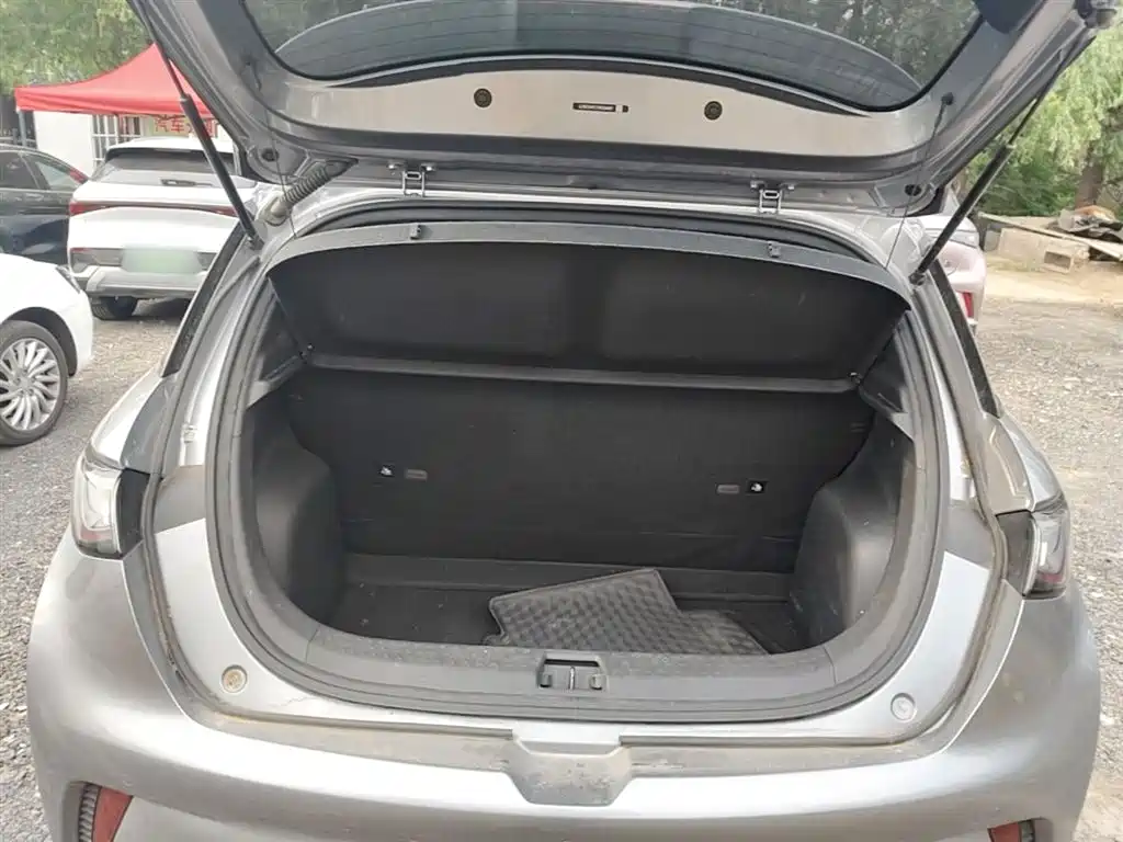 BYD Dolphin 2021 Model 405km Fashion Edition фото 19