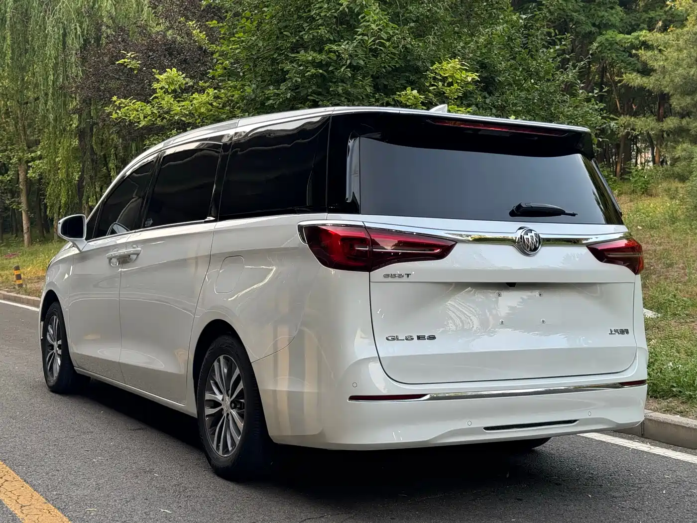 Buick GL8 2022 ES Landmark 653T Comfort фото 20
