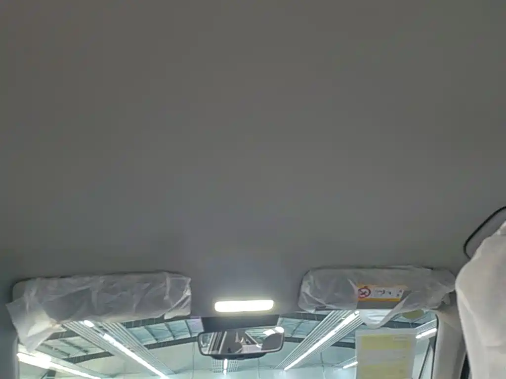 Geely Galaxy Starry Wish 2026 Edition 410km Freedom Version фото 18