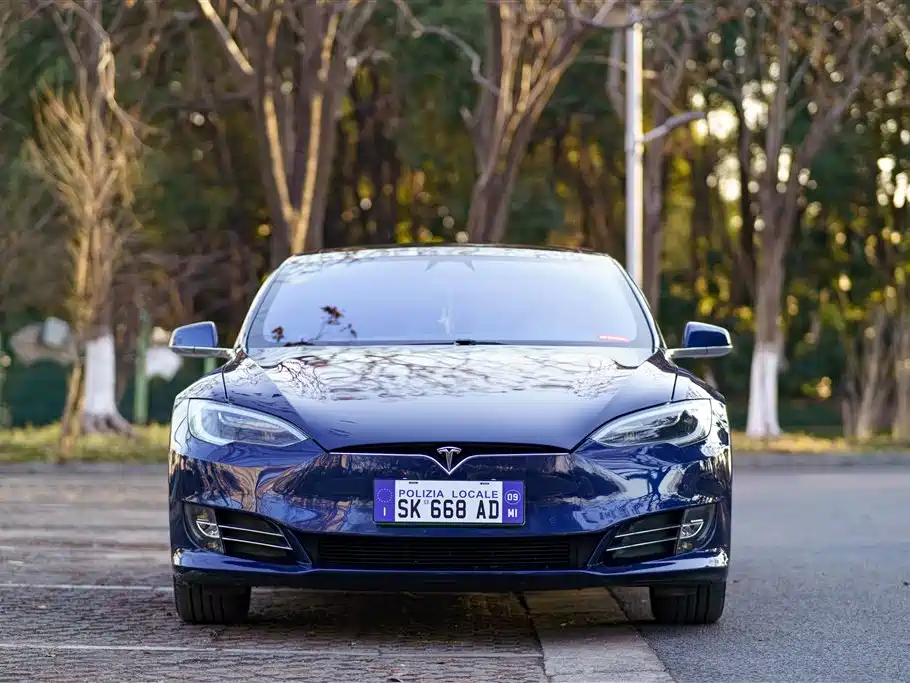 TESLA MODEL S