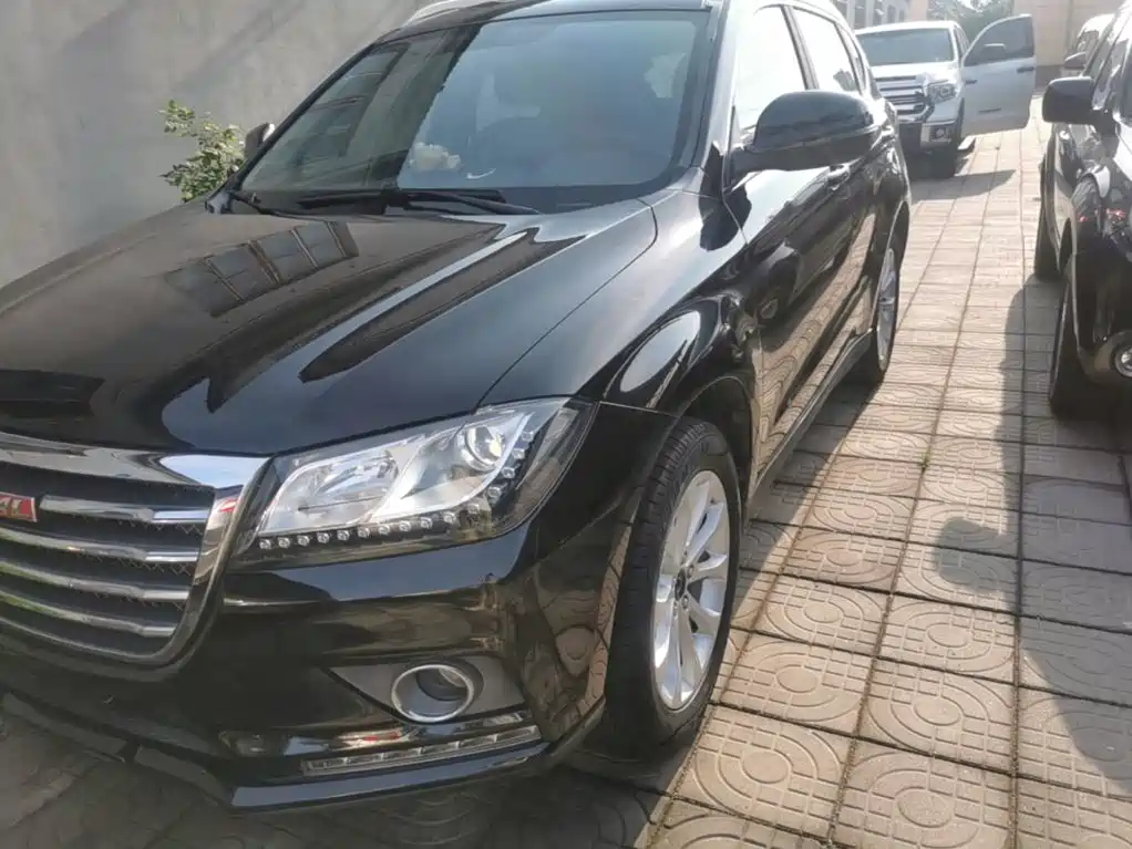 Фото 24 - Haval H2
