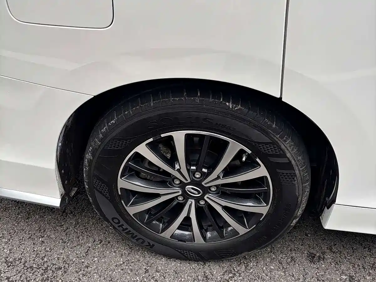GAC Trumpchi Trumpchi M8 2021 Leading Show Series 390T Premium Edition фото 27