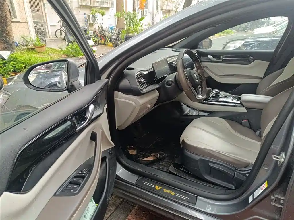BYD Qin PLUS 2023 Champion Edition DM-i 55KM Leading фото 17