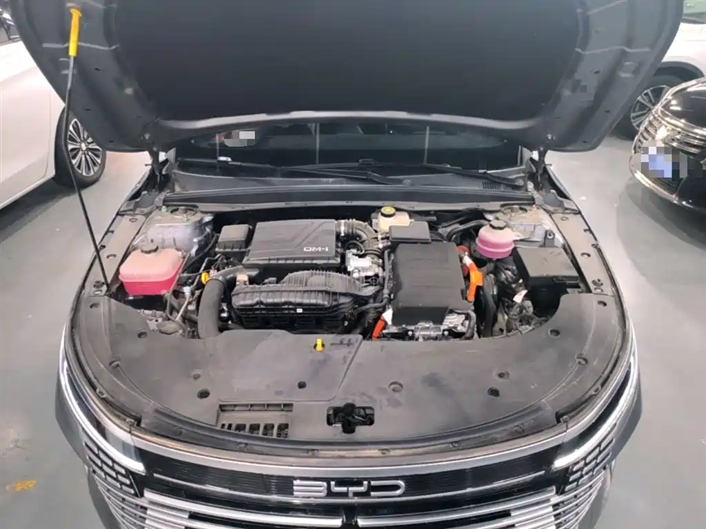 BYD Destroyer 05 2024 Glory Edition DM-i 55KM Luxury фото 20