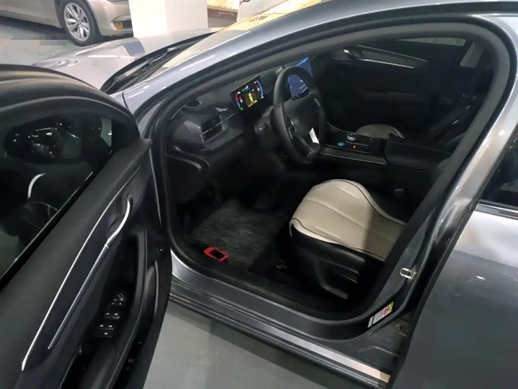 BYD Destroyer 05 2024 Glory Edition DM-i 55KM Luxury фото 16