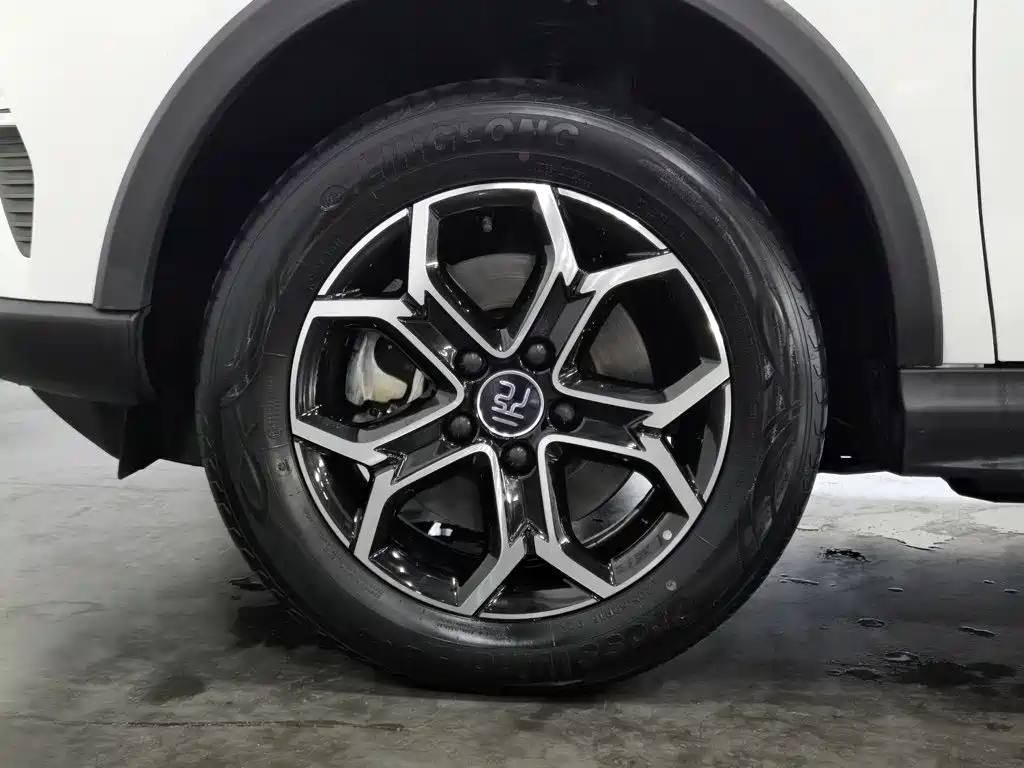 BYD Yuan Pro 2022 2021 401KM Luxury Model