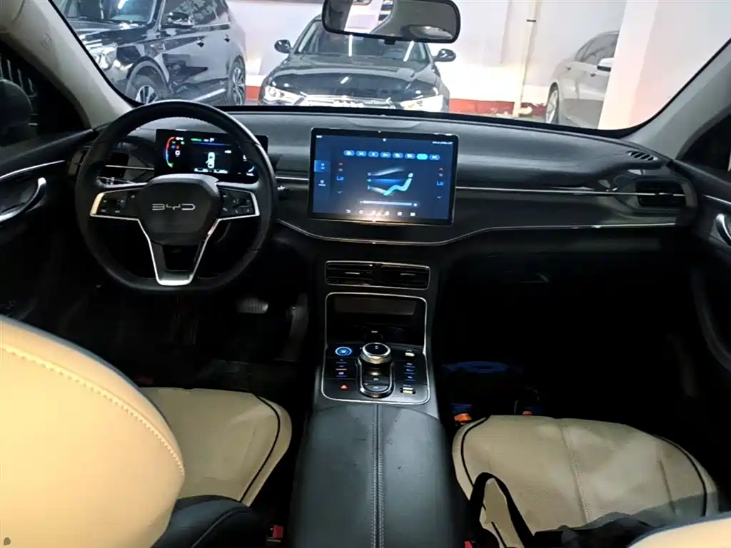 BYD Destroyer 05 2024 Glory Edition DM-i 55KM Luxury фото 10