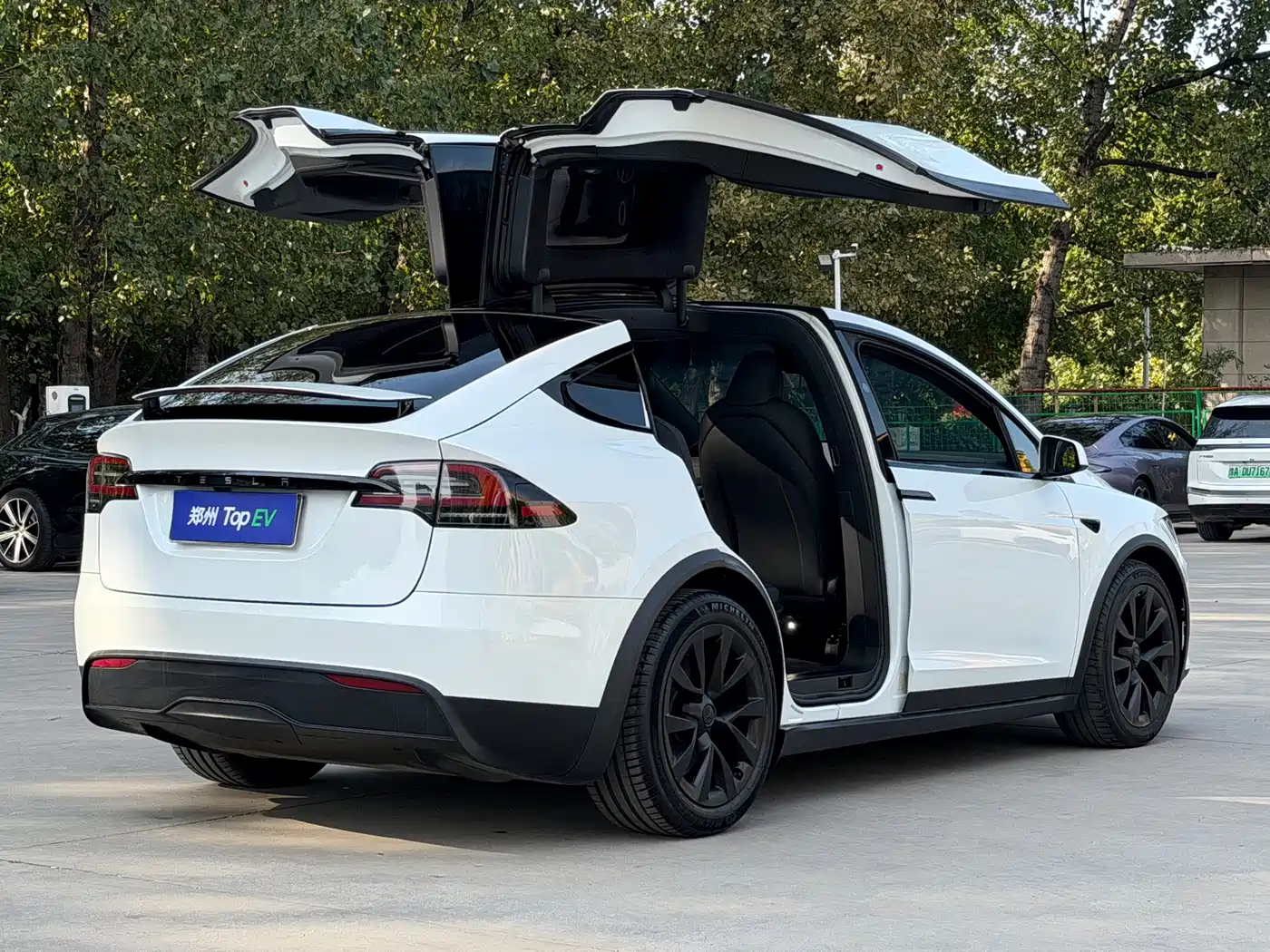 Tesla Model X 2023 2023 Dual Motor All-Wheel Drive Edition