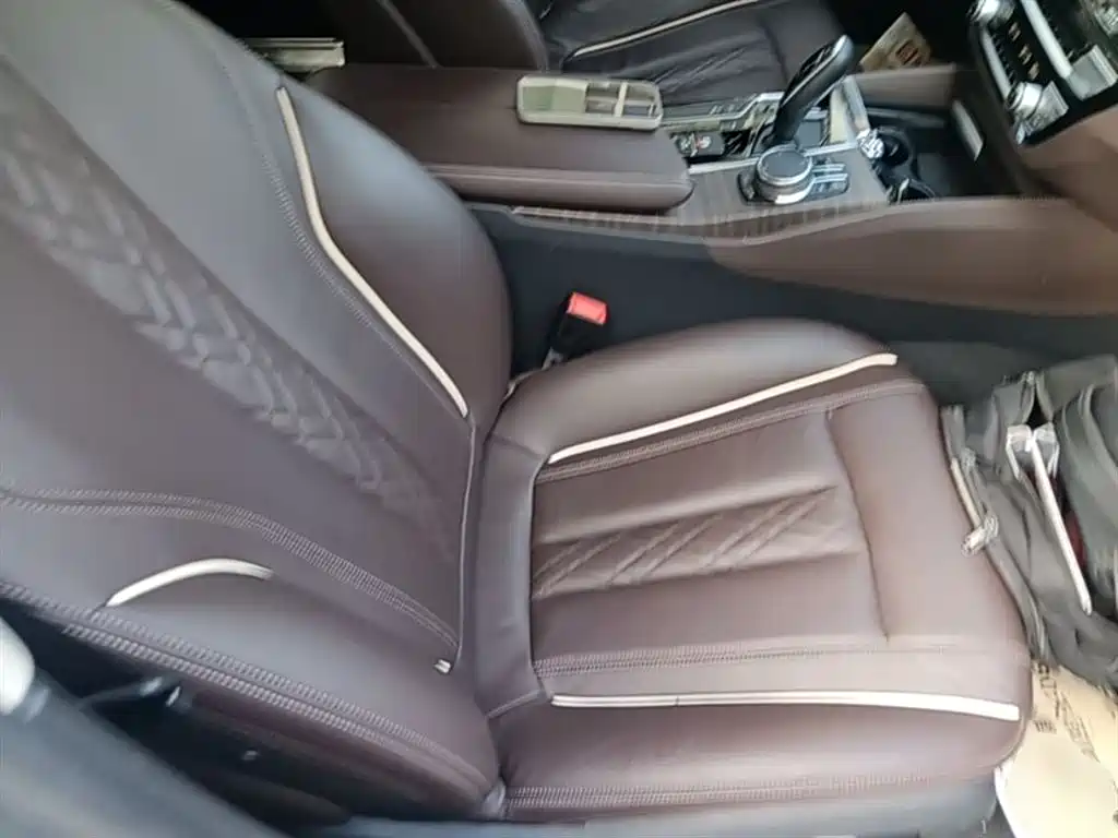 BMW 5 Series New Energy 2020 530Le Luxury Package фото 25