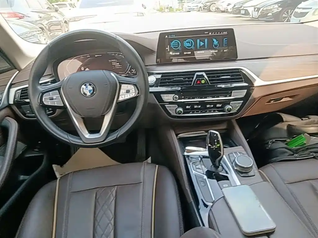 BMW 5 Series New Energy 2020 530Le Luxury Package фото 10