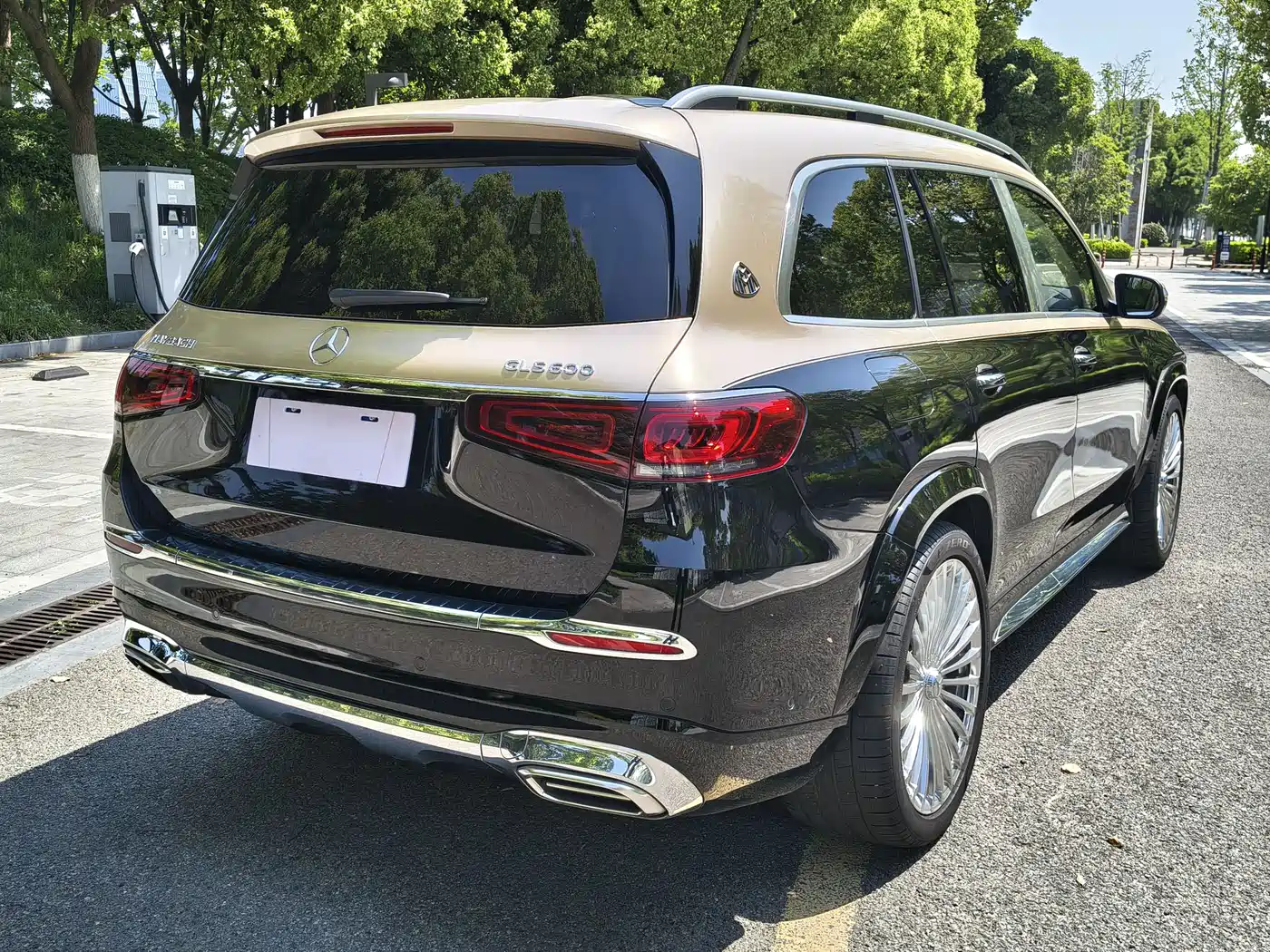 Mercedes-Benz Maybach GLS 2021 GLS 480 4MATIC фото 10