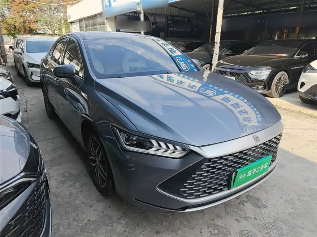 BYD Qin PLUS 2023 Champion Edition DM-i 120KM Excellence фото 4