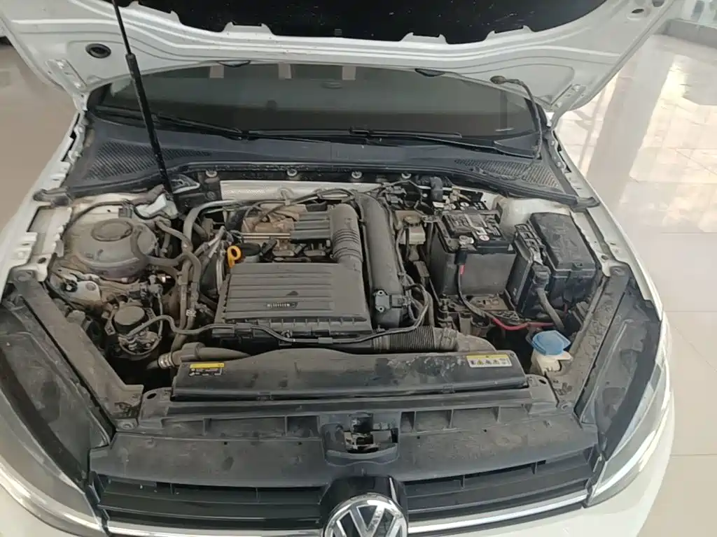 صورة 20 - Volkswagen Golf