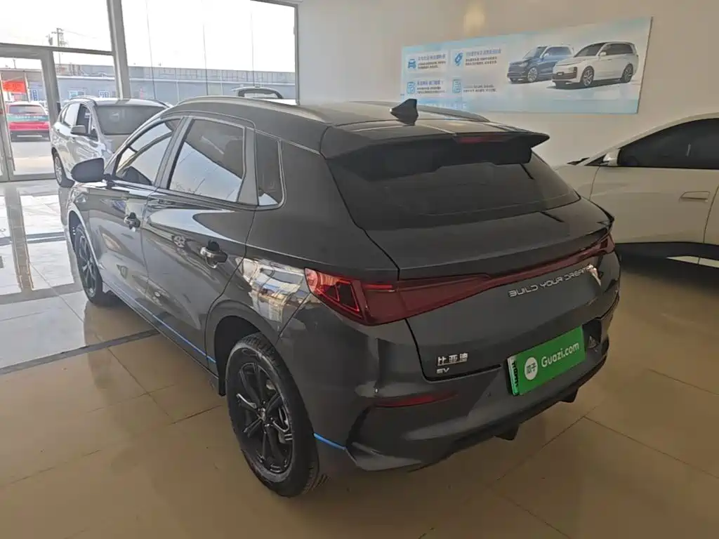 BYD e2 2021 2021 Luxury Edition
