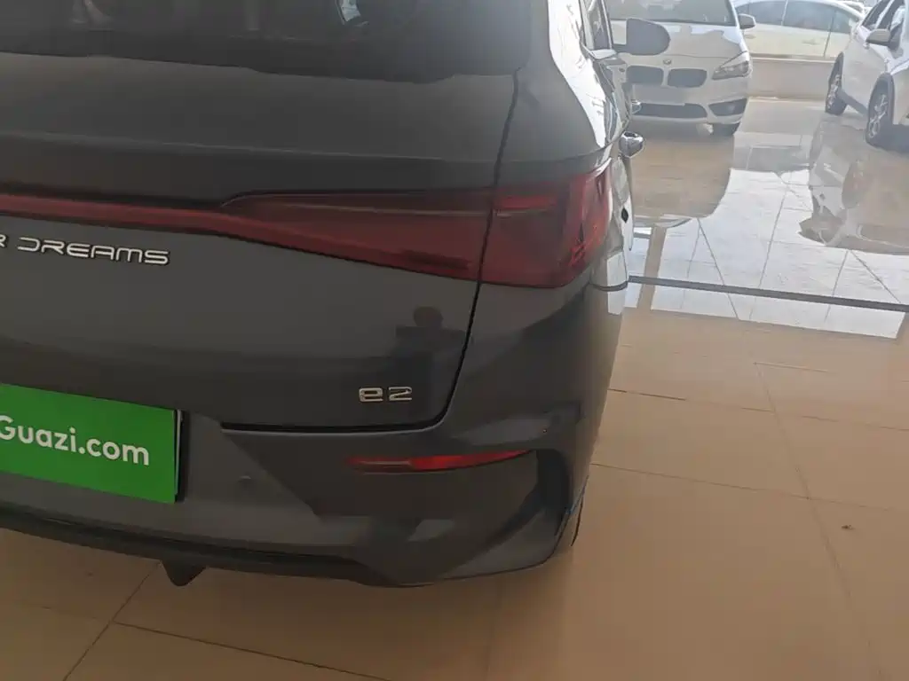 BYD e2 2021 2021 Luxury Edition