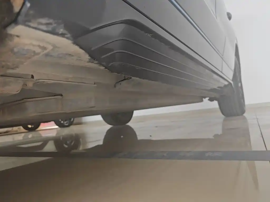 BYD e2 2021 2021 Luxury Edition