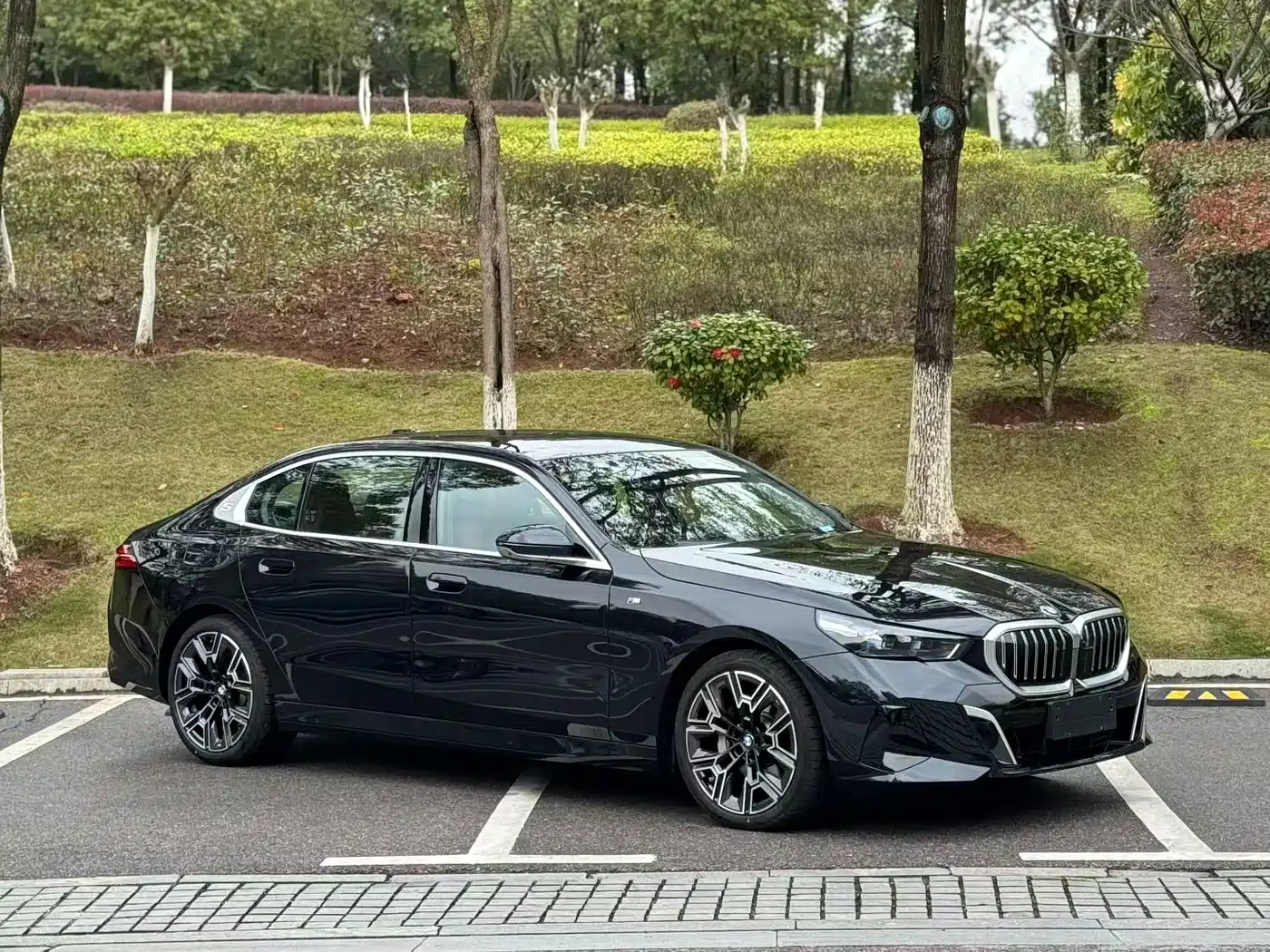 BMW 5 Series 2025 530Li Premium M Sport Package фото 3
