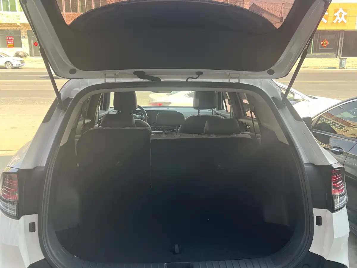 KIA LION PLATINUM EXPANDS THE WORLD