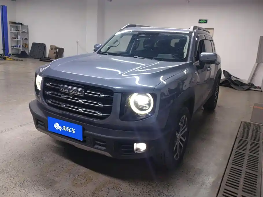 Haval Haval Big Dog 2022 1.5T DCT FWD Border Collie Edition