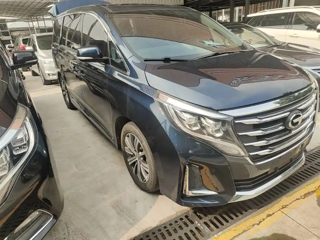 GAC Trumpchi Trumpchi M8 2020 Pilot 390T Prestige Edition фото 4