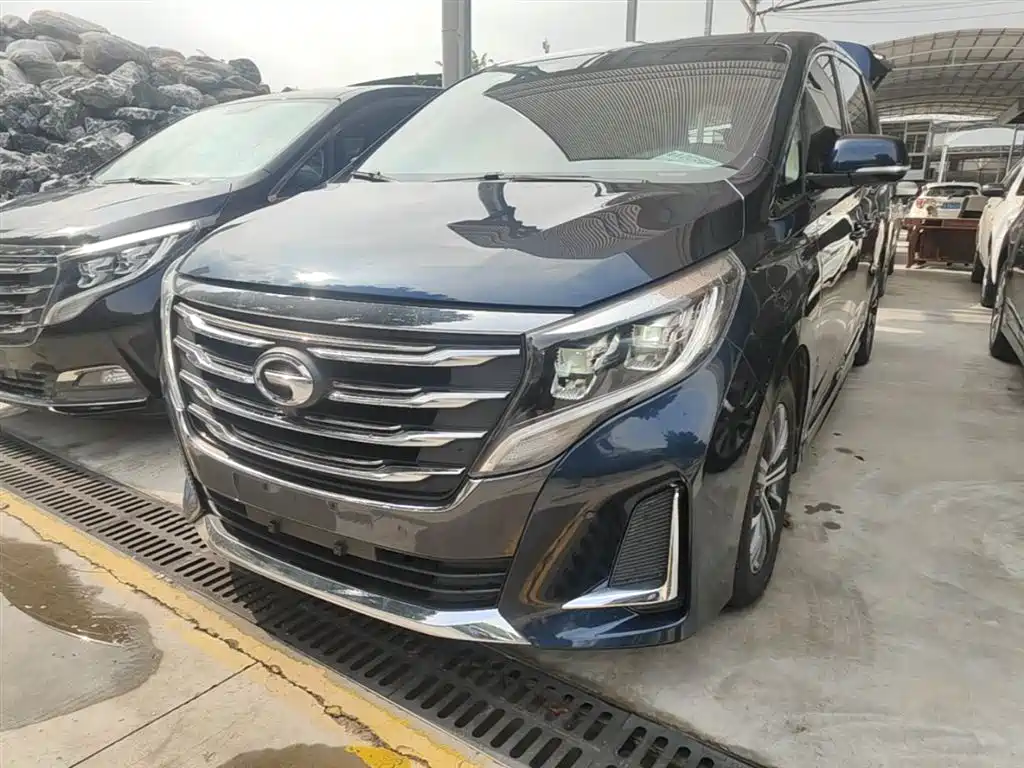 GAC Trumpchi Trumpchi M8 2020 Pilot 390T Prestige Edition фото 2