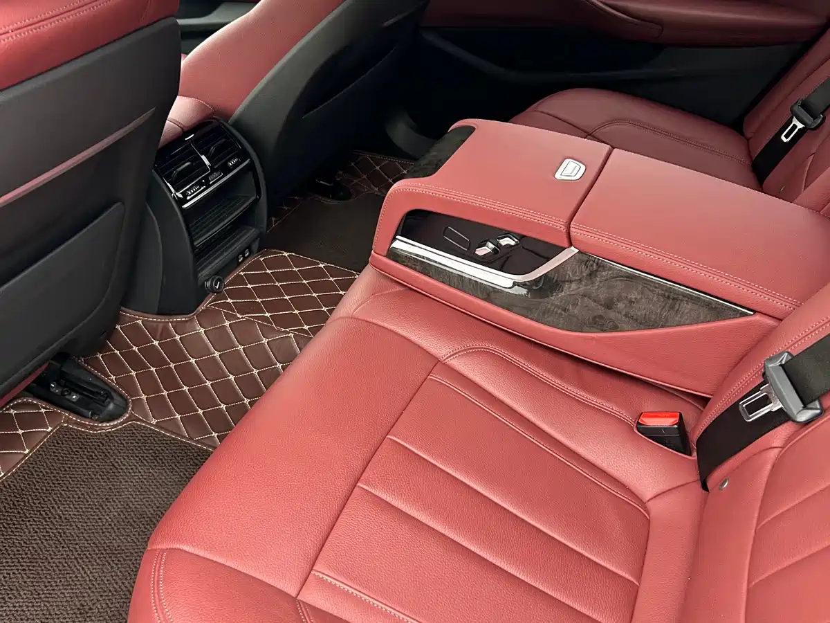 BMW 5 Series 2020 Model 530Li xDrive M Sport Package фото 7