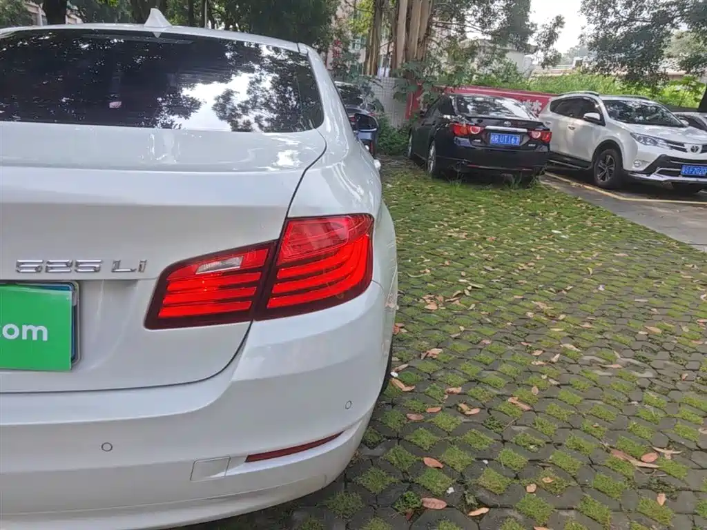 BMW 5 Series 2014 525Li Leading фото 8
