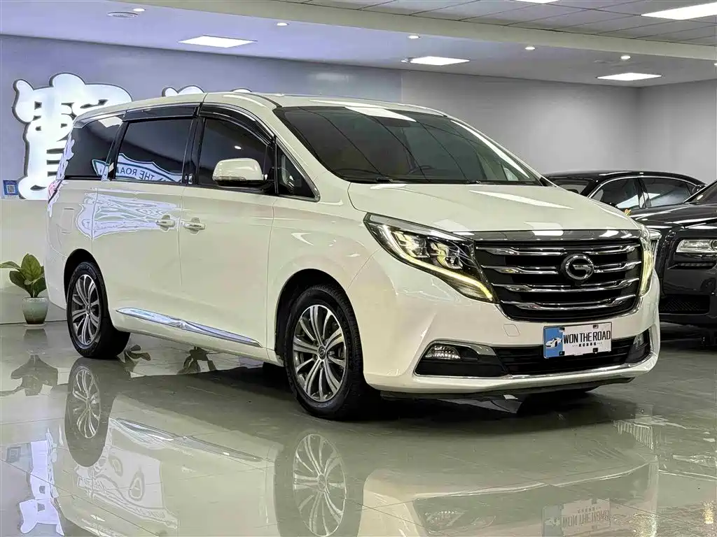 GAC Trumpchi Trumpchi M8 2018 320T Premium Edition фото 4
