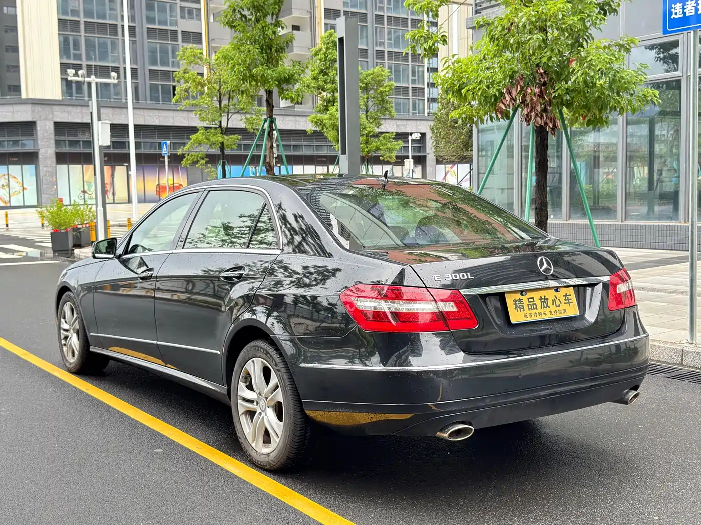 Mercedes-Benz E-Class 2011 E 300 L Elegance фото 13