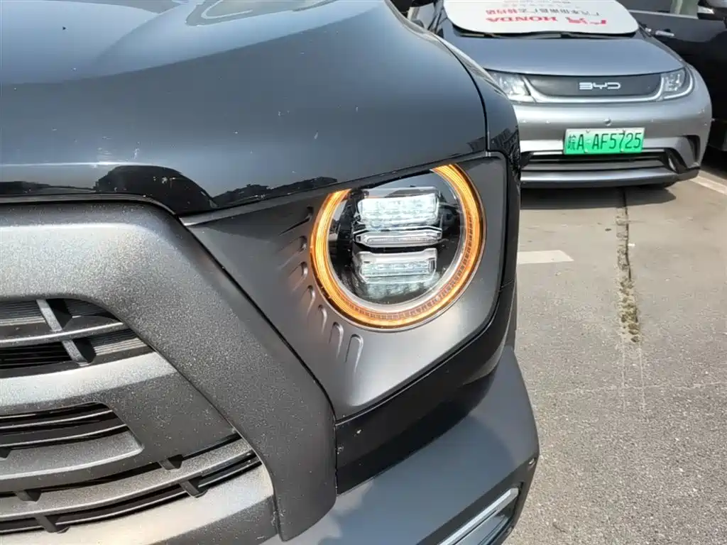 Haval Big Dog 2022 2.0T DCT 4WD Chinese Rural Dog Hunting Edition фото 24