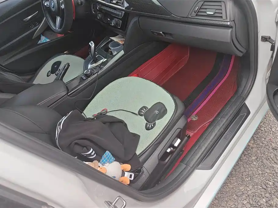 BMW 3 Series 2016 320Li Progressive фото 8